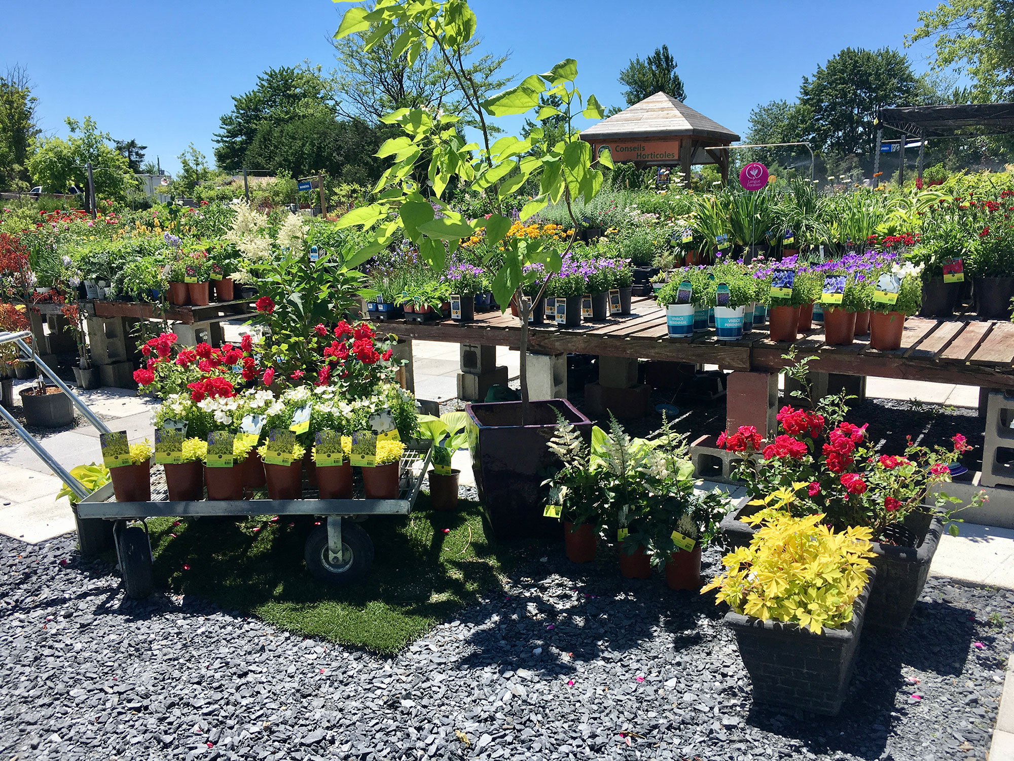 Jardin Eden, centre de jardin, paysagiste et fleuriste à Sherbrooke