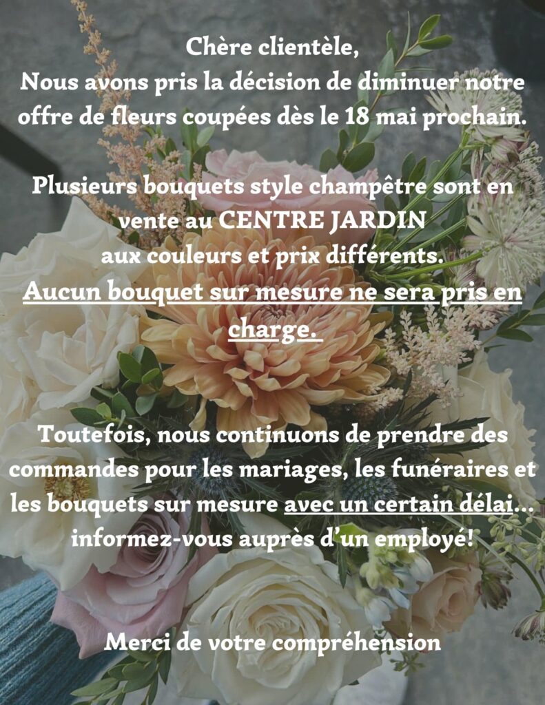 fleuriste_offre_ete