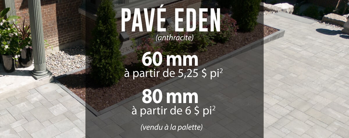 promotion-pave