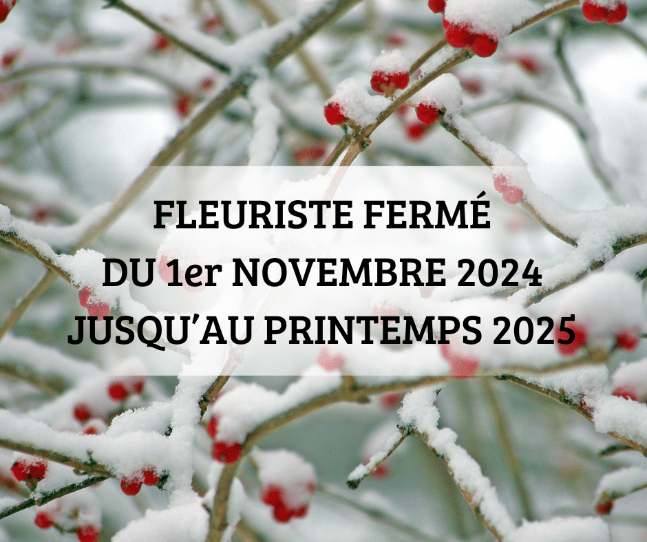 FLEURISTE FERMÉ DU 1er NOVEMBRE JUSQU’AU PRINTEMPS 2025